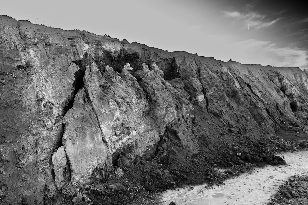 Earth -- Gaia monitoring domain